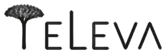 Eleva Planejamento